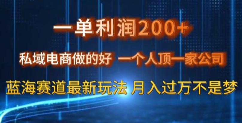 一单利润200私域电商做的好，一个人顶一家公司蓝海赛道最新玩法【揭秘】-创薯资源