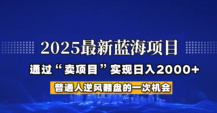 2025年蓝海项目，如何通过“网创项目”日入2000+-创薯资源