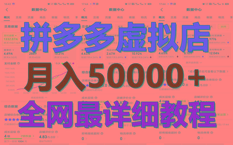 拼多多虚拟电商训练营月入50000+你也行，暴利稳定长久，副业首选-创薯资源