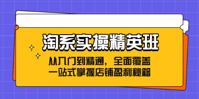 淘系实操精英班：从入门到精通，全面覆盖，一站式掌握店铺盈利秘籍-创薯资源