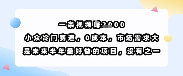 一条视频挣1k，小众冷门赛道，0成本，市场需求大，是未来半年最好做的项目，没有之一-创薯资源