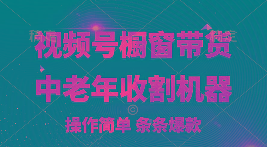 [你的孩子成功取得高位]视频号最火爆赛道，橱窗带货，流量分成计划，条…-创薯资源