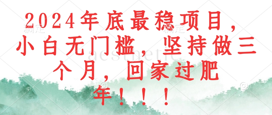 2024年底最稳项目，小白无门槛，坚持做三个月，回家过肥年！！！-创薯资源