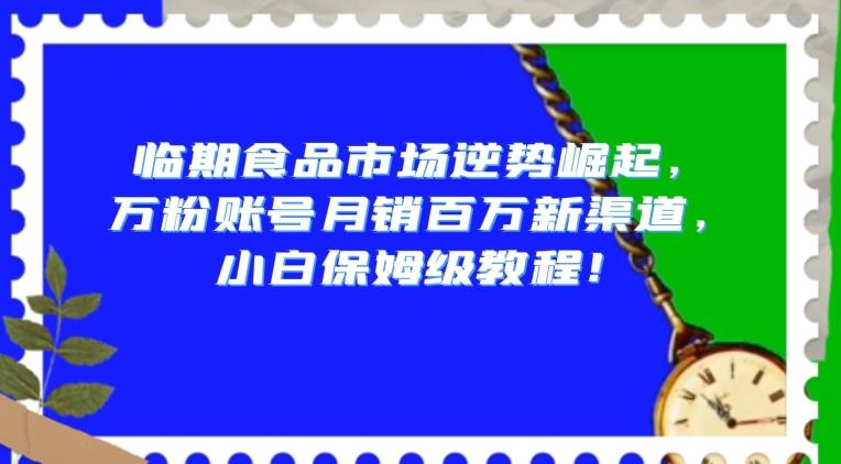 临期食品市场逆势崛起，万粉账号月销百万新渠道，小白保姆级教程【揭秘】-创薯资源