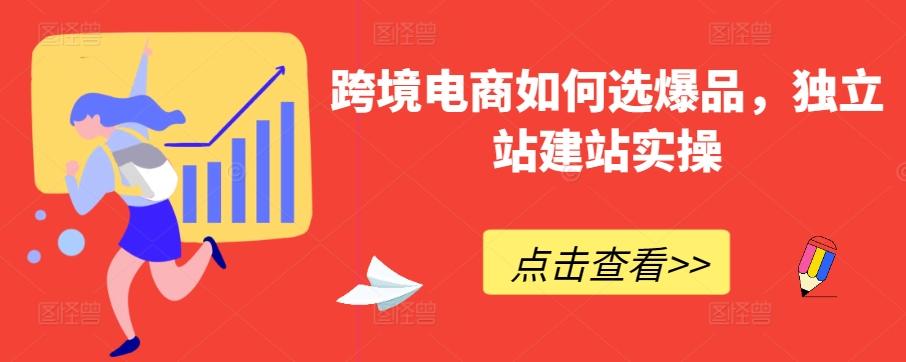 跨境电商如何选爆品，独立站建站实操-创薯资源