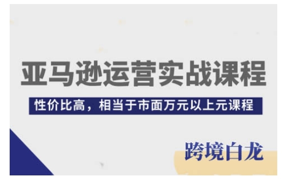 亚马逊运营实战课程，亚马逊从入门到精通，性价比高，相当于市面万元以上元课程-创薯资源