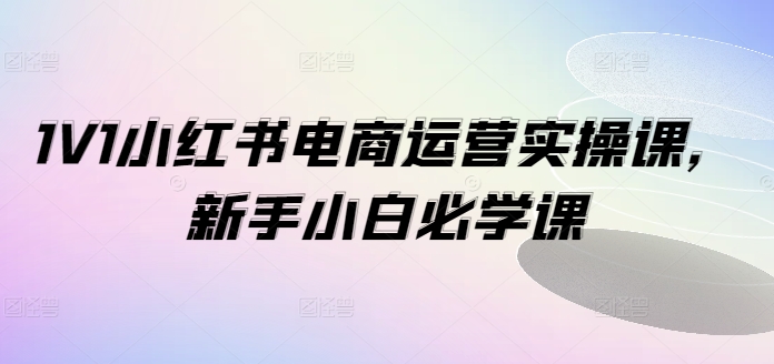 1V1小红书电商运营实操课，新手小白必学课-创薯资源