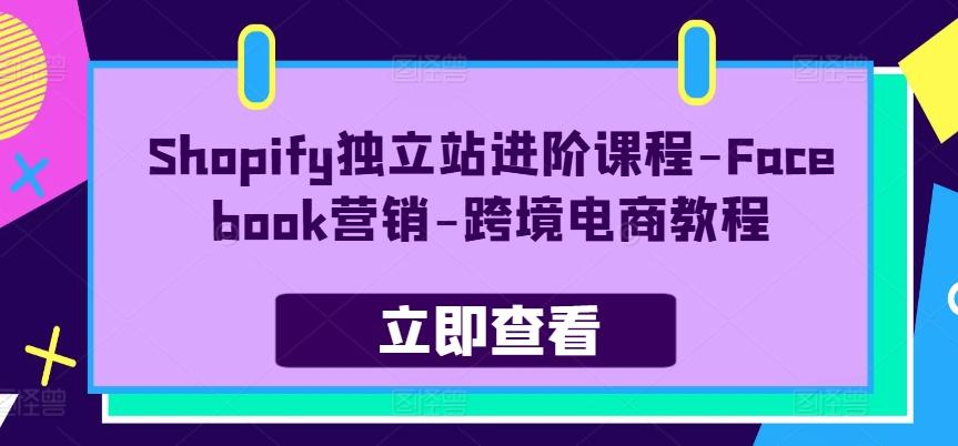Shopify独立站进阶课程-Facebook营销-跨境电商教程-创薯资源