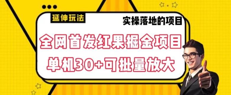 全网首发红果免费短剧掘金项目，单机30+可批量放大【揭秘】-创薯资源
