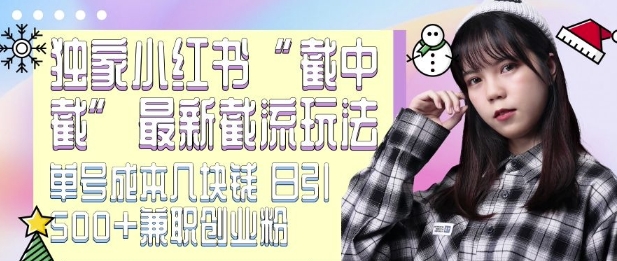 最新小红书截流玩法 独家截中截 单号成本几块钱 日引500+CY粉JZ粉-创薯资源