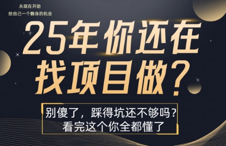 25年，你还在疯狂的找项目吗？别傻了，看完这个你都懂了【揭秘】-创薯资源