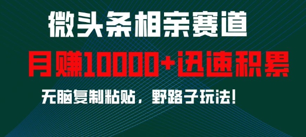 微头条相亲赛道，迅速积累，无脑复制粘贴，野路子玩法，月入1w-创薯资源