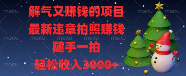 解气又挣钱的项目，最新违章拍照挣钱，随手一拍，轻松收入数张【揭秘】-创薯资源