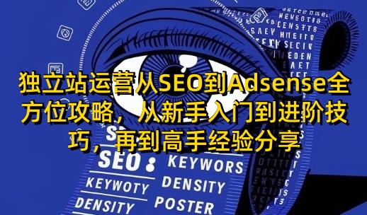 独立站运营从SEO到Adsense全方位攻略，从新手入门到进阶技巧，再到高手经验分享-创薯资源