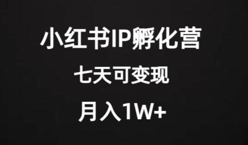 价值2000+的小红书IP孵化营项目，超级大蓝海，七天即可开始变现，稳定月入1W+-创薯资源