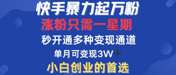 快手暴力起万粉，涨粉只需一星期，多种变现模式，直接秒开万合，单月变现过W【揭秘】-创薯资源