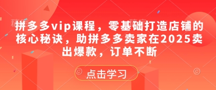 拼多多vip课程，零基础打造店铺的核心秘诀，助拼多多卖家在2025卖出爆款，订单不断-创薯资源