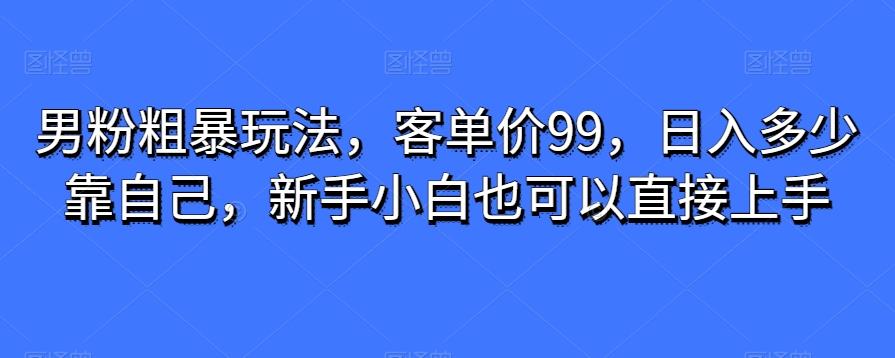 男粉粗暴玩法，客单价99，日入多少靠自己，新手小白也可以直接上手-创薯资源