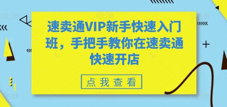 速卖通VIP新手快速入门班，手把手教你在速卖通快速开店-创薯资源