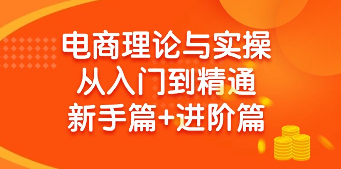 (9576期)电商理论与实操从入门到精通 新手篇+进阶篇-创薯资源