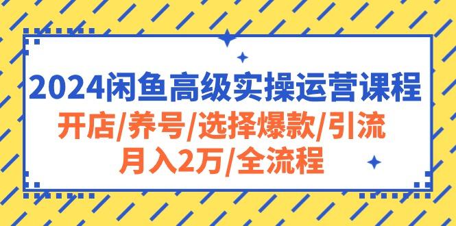 2024闲鱼高级实操运营课程：开店/养号/选择爆款/引流/月入2万/全流程-创薯资源