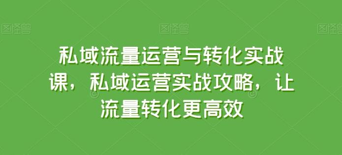 私域流量运营与转化实战课，私域运营实战攻略，让流量转化更高效-创薯资源