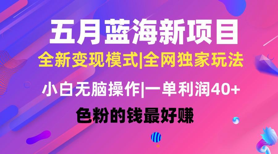 五月蓝海项目全新玩法，小白无脑操作，一天几分钟，矩阵操作，月入4万+-创薯资源
