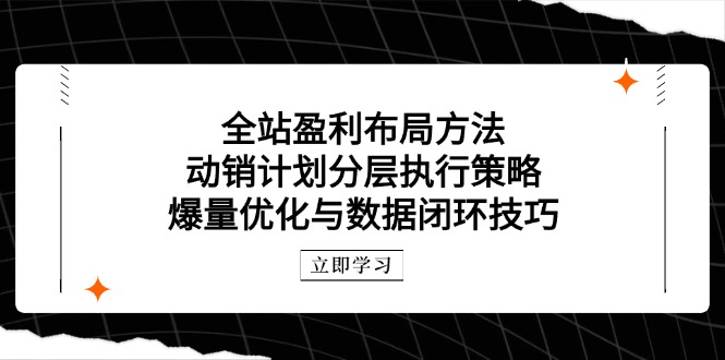 全站盈利布局方法：动销计划分层执行策略，爆量优化与数据闭环技巧-创薯资源