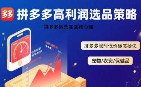 拼多多选品暴利技术实战课，拼多多高利润选品策略，拼多多限时低价标签秘诀-创薯资源