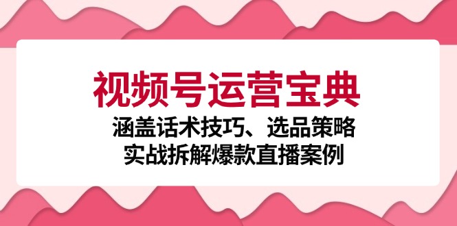 视频号运营宝典：涵盖话术技巧、选品策略、实战拆解爆款直播案例-创薯资源