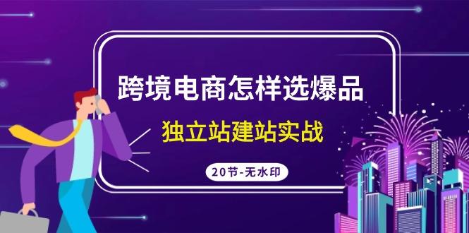 (9369期)跨境电商怎样选爆品，独立站建站实战(20节高清无水印课)-创薯资源