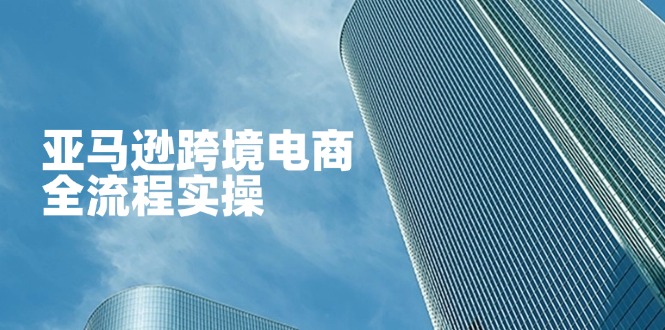 亚马逊跨境电商全流程实操，教你从零开始，掌握店铺运营与广告技巧-创薯资源