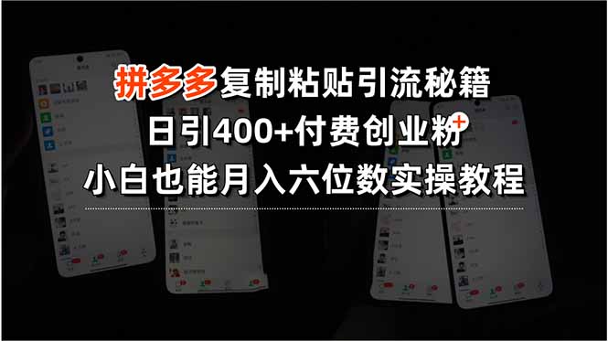 拼多多复制粘贴引流秘籍，日引400+付费创业粉，小白也能月入六位数实操…-创薯资源
