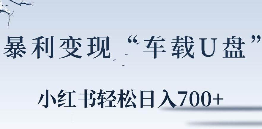 小红书“车载U盘”暴利引流，日入700+-创薯资源