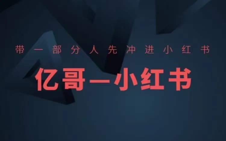 ​​带一部分人先冲进小红书，小红书开店、选品、爆款裂变-创薯资源