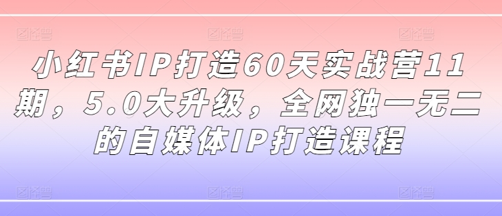 小红书IP打造60天实战营11期，5.0大升级，全网独一无二的自媒体IP打造课程-创薯资源