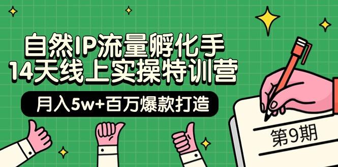 (9881期)自然IP流量孵化手 14天线上实操特训营【第9期】月入5w+百万爆款打造 (74节)-创薯资源