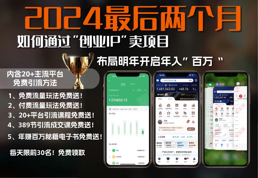 2024最后两个月如何通过”创业IP“卖项目年入”百万“,创业IP+最强引流…-创薯资源