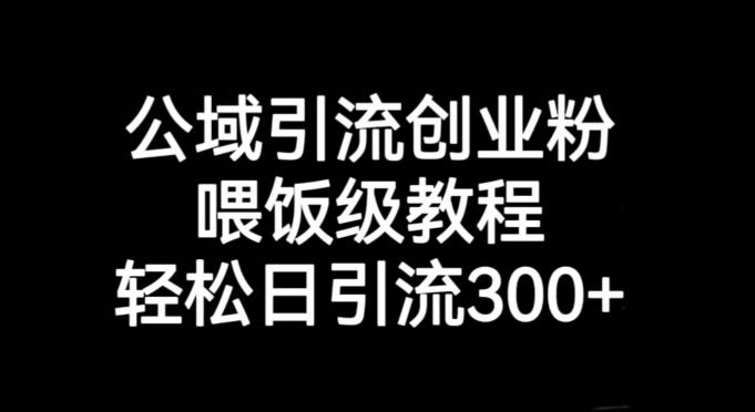 公域引流创业粉，喂饭级教程，轻松日引流300+【揭秘】-创薯资源
