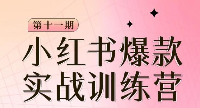 小红书博主爆款训练营第11期，手把手教你从0-1做小红书，从定位到起号到变现-创薯资源