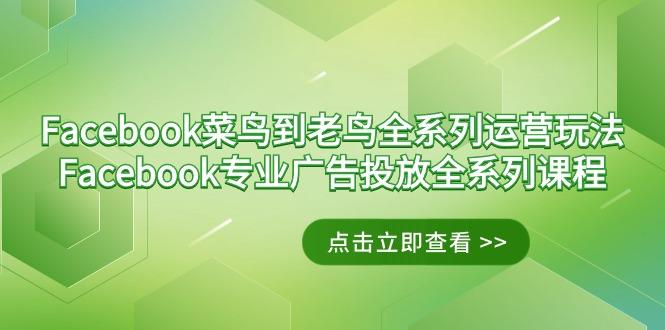 Facebook-菜鸟到老鸟全系列运营玩法+Facebook-专业广告投放全系列课程-创薯资源