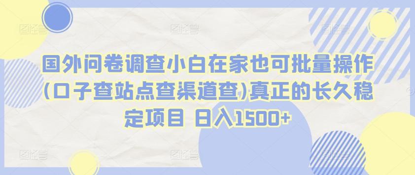 国外问卷调查小白在家也可批量操作(口子查站点查渠道查)真正的长久稳定项目 日入1500+【揭秘】-创薯资源
