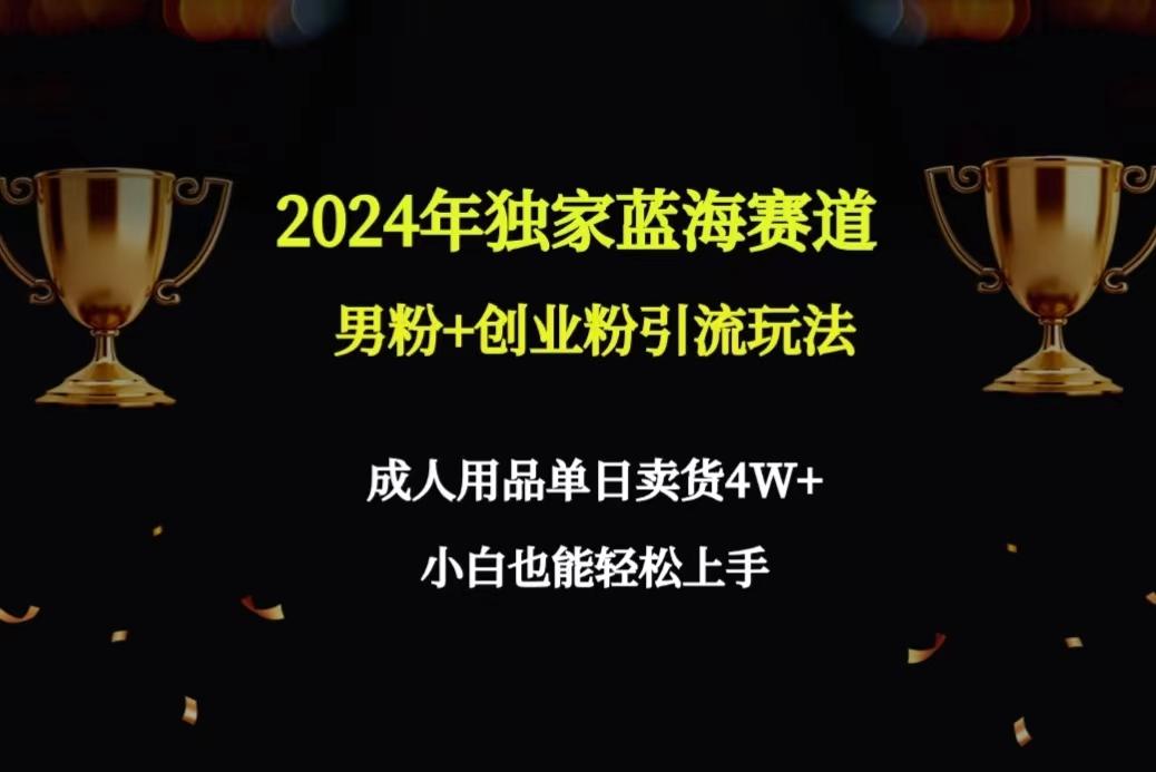 2024年独家蓝海赛道男粉+创业粉引流玩法，成人用品单日卖货4W+保姆教程-创薯资源