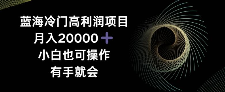 蓝海冷门高利润项目月入2000，小白也可操作有手就会-创薯资源