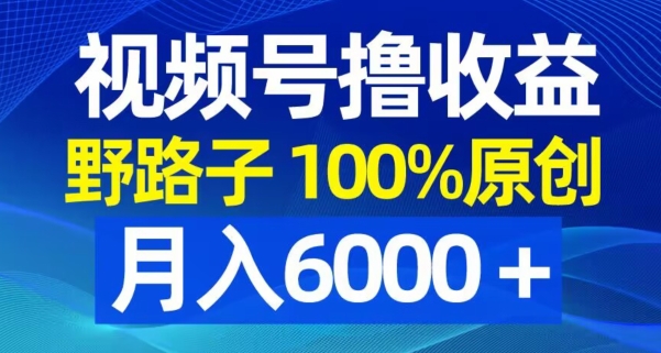 视频号野路子撸收益，100%原创，条条爆款，月入6000＋【揭秘】-创薯资源