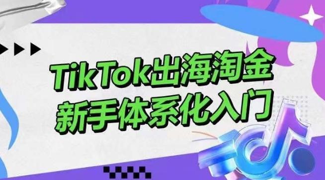 TikTok出海淘金，新手体系化入门，零基础快速入门，掌握短视频、直播带货等引流到变现的知识-创薯资源