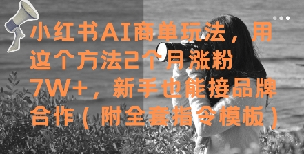 小红书AI商单玩法，用这个方法2个月涨粉7W+，新手也能接品牌合作(附全套指令模板)-创薯资源