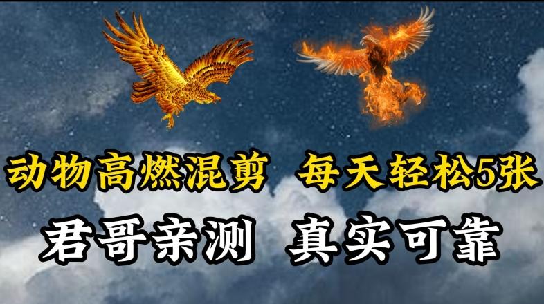 动物超燃混剪，每天轻松5张，剪辑简单大家爱看【揭秘】-创薯资源