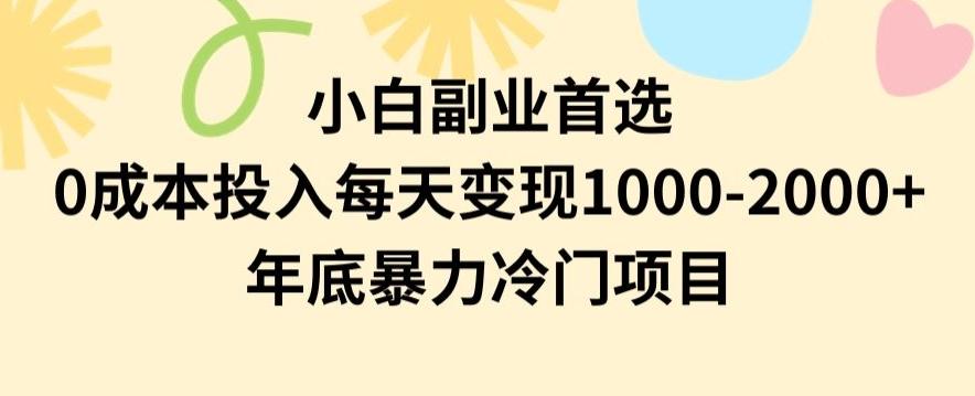 小白副业首选，0成本投入，每天变现1000-2000年底暴力冷门项目【揭秘】-创薯资源