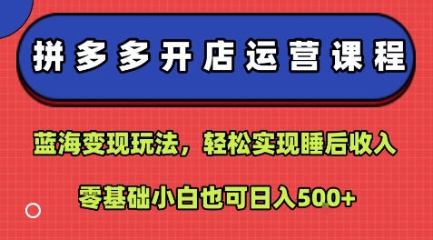 拼多多开店运营课程：蓝海变现玩法，轻松实现睡后收入，零基础小白也可日入5张-创薯资源